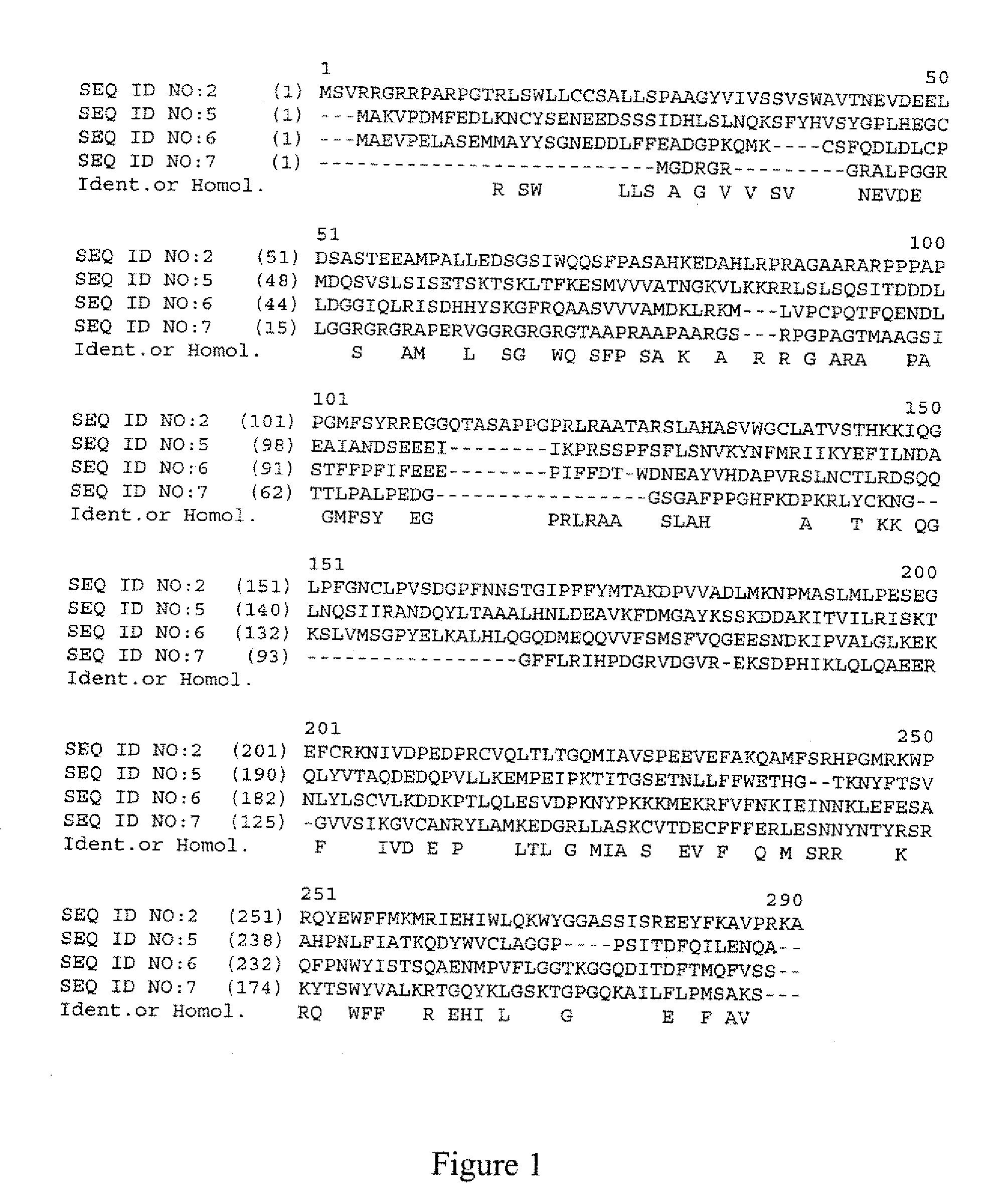 Mammalian cytokine; reagents and methods