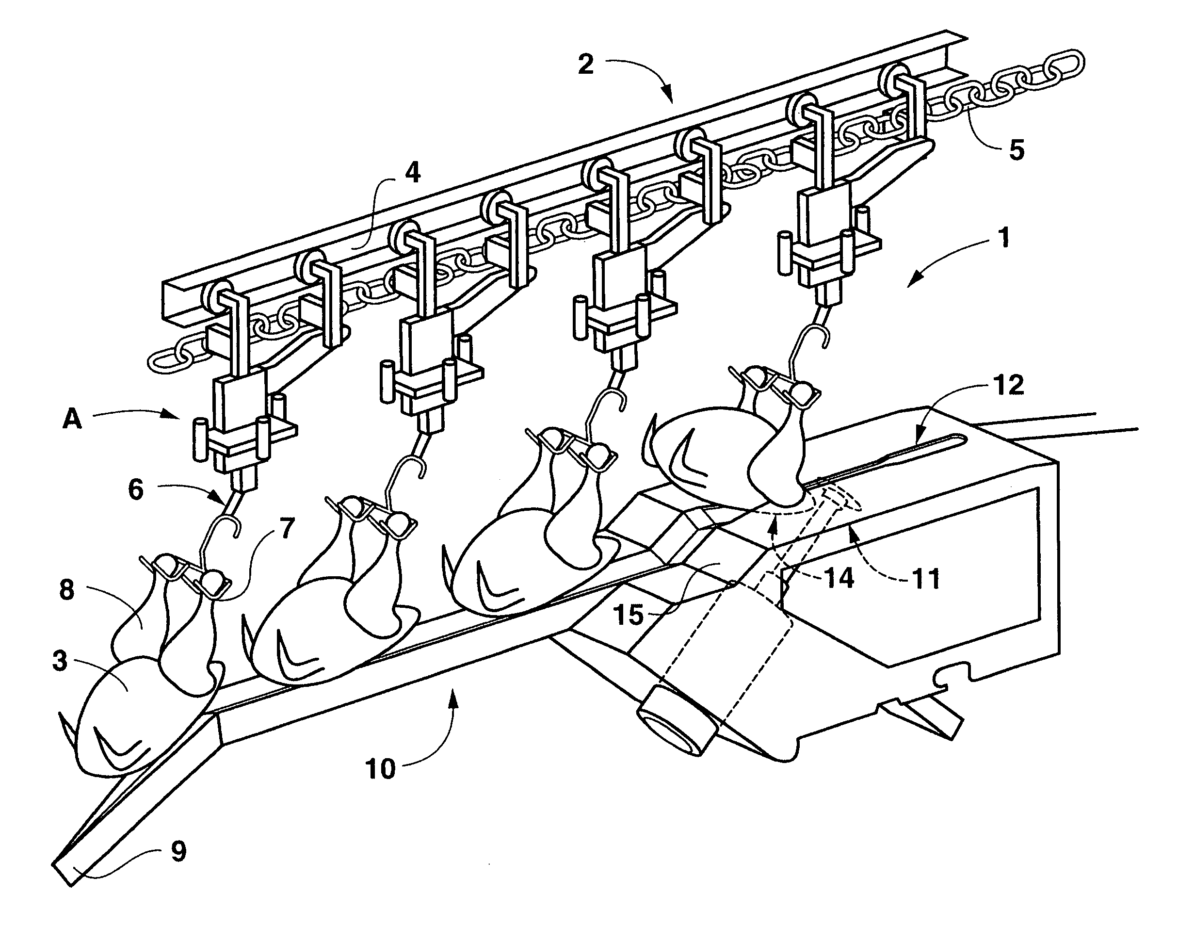 Apparatus for automatically removing a tail from poultry