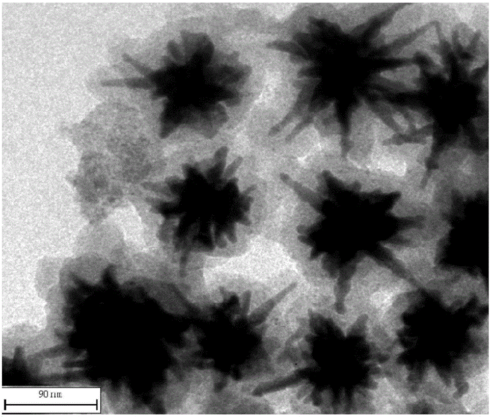 Gold nano-star @ quantum dot composite cell probe with photothermal and fluorescence enhancement dual-functions and preparation method and applications thereof