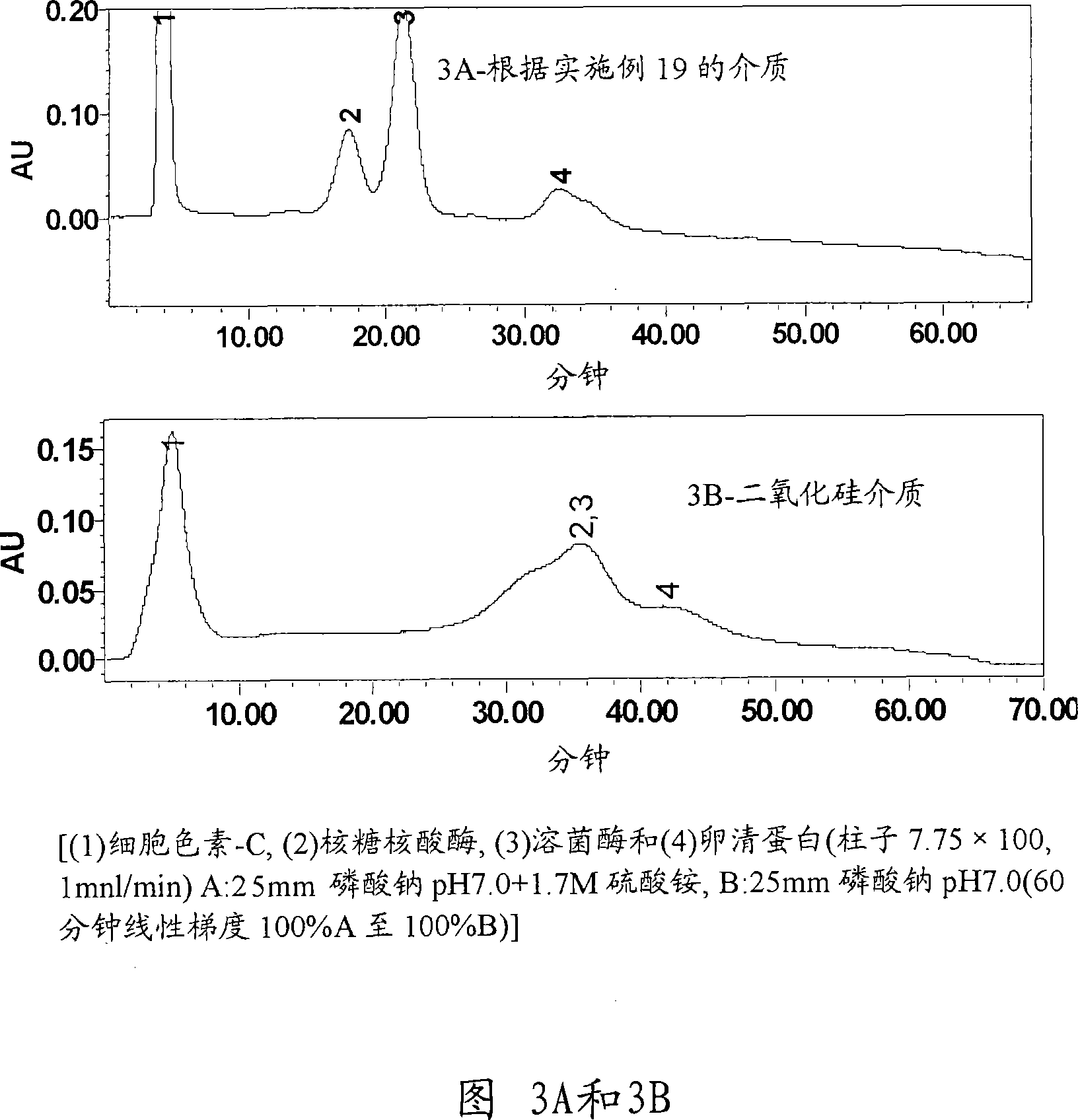 Chromatographic media