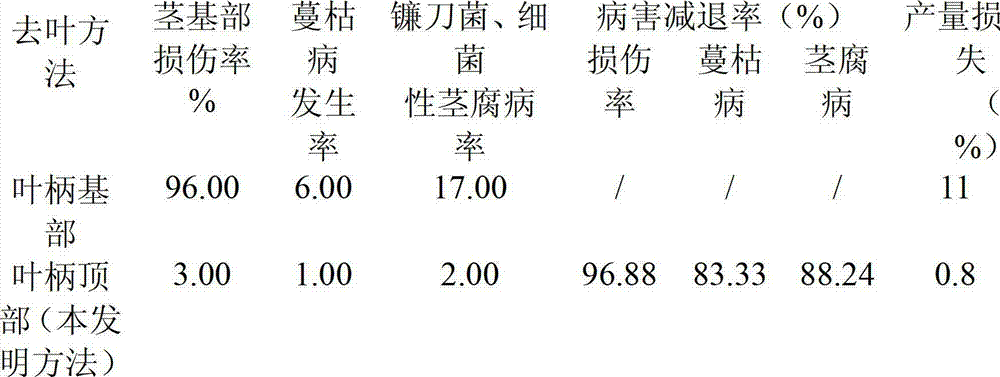 Method for preventing and treating stem diseases of cucumbers