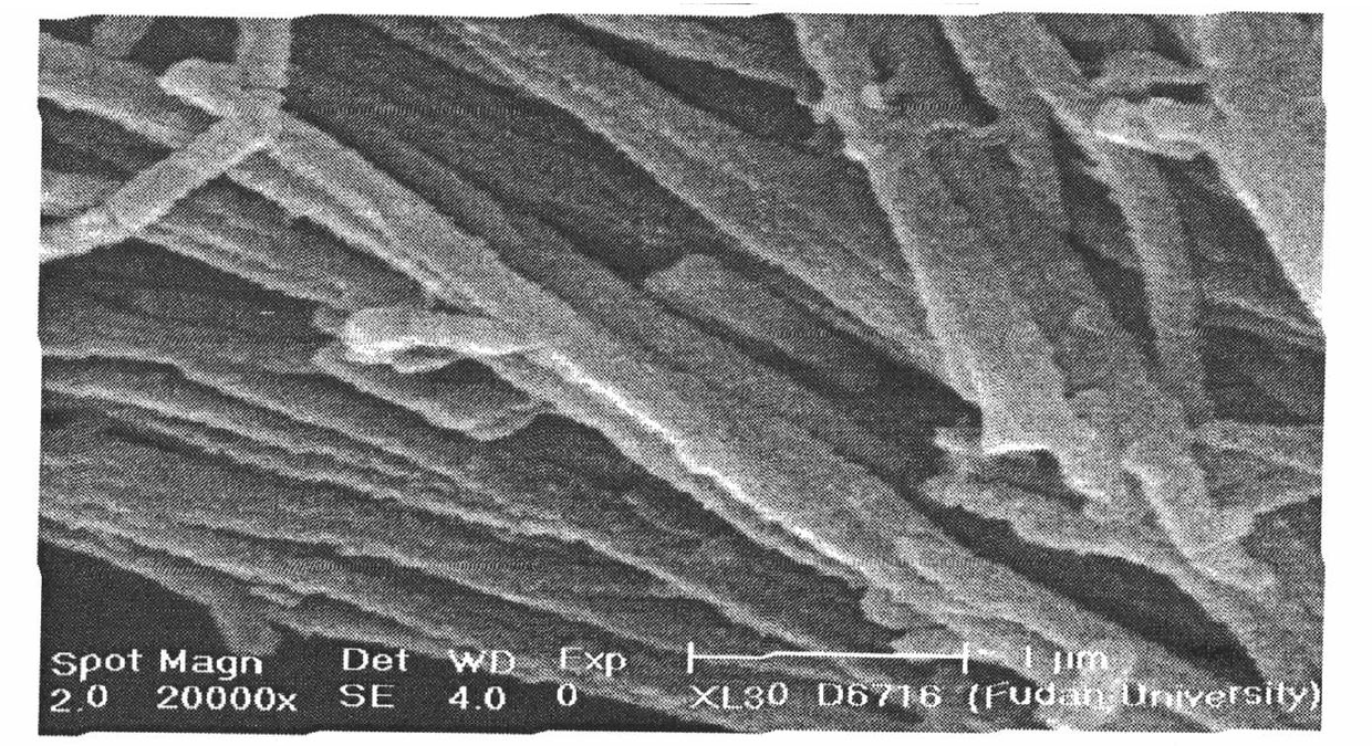 Preparing method for molybdenum oxide - polyaniline composite nanowire and nanotube