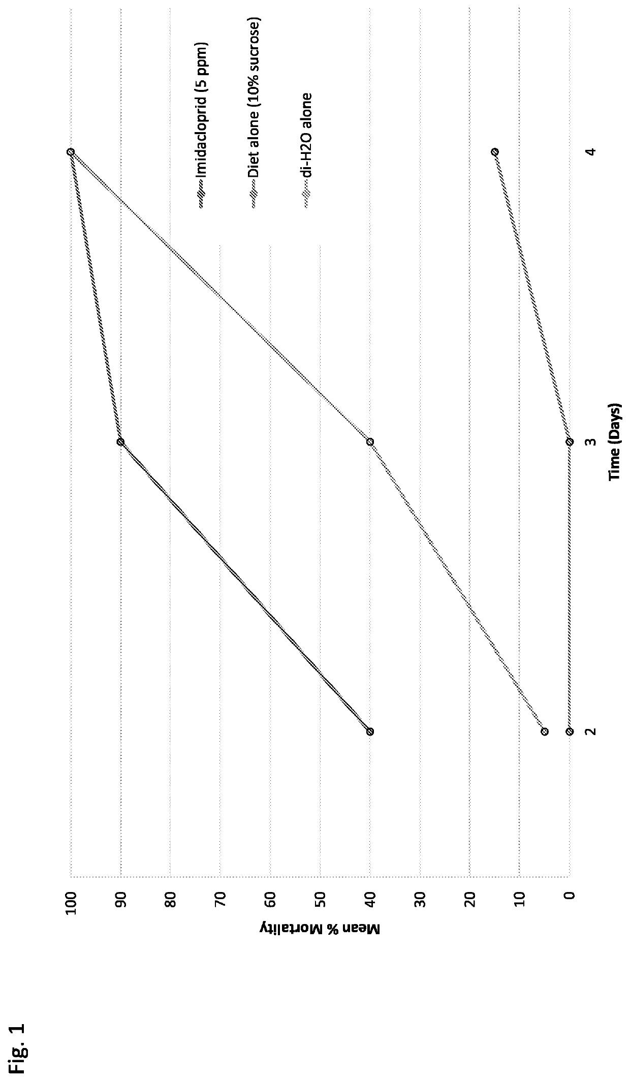 Methods and compositions for feeding piercing and sucking insects