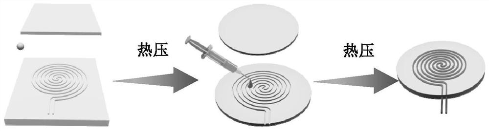 A biological non-toxic, degradable high-sensitivity temperature sensor chip and its preparation method and application