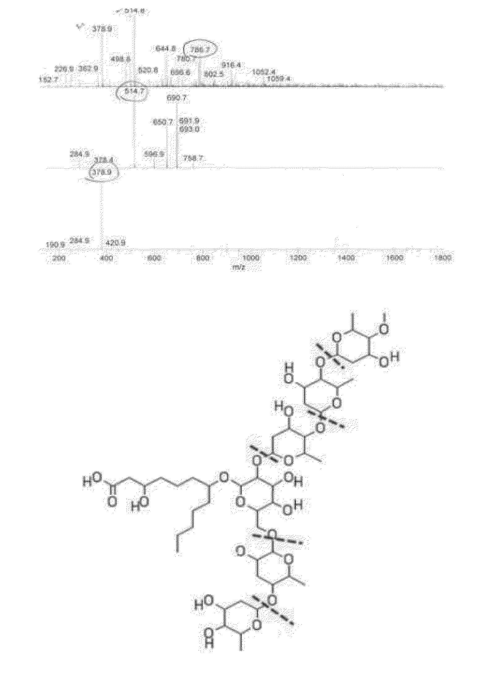 Novel compound isolated from quamoclit, and composition for preventing or treating diabetes containing the compound as an active ingredient