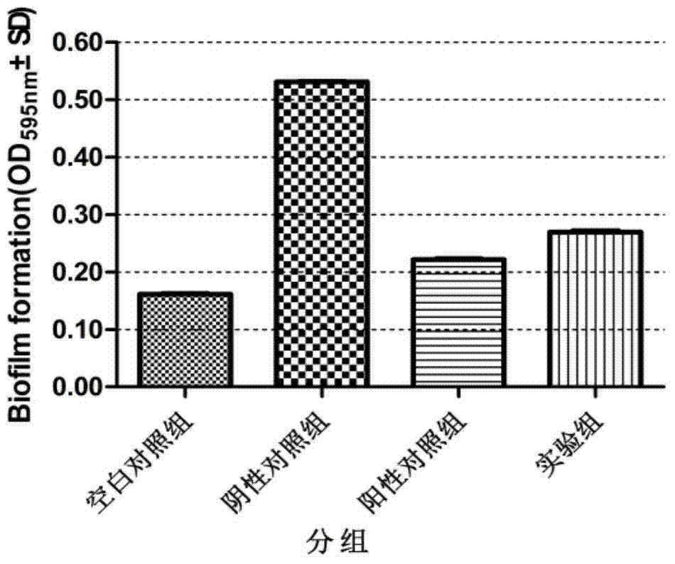 Application of clove leaf extractives in inhibition of streptococcus suis and intervention and elimination of streptococcus suis biofilm