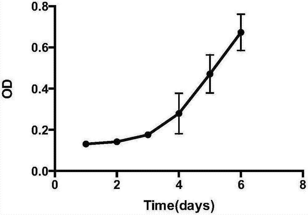 Human placental site trophoblastic tumor cell line