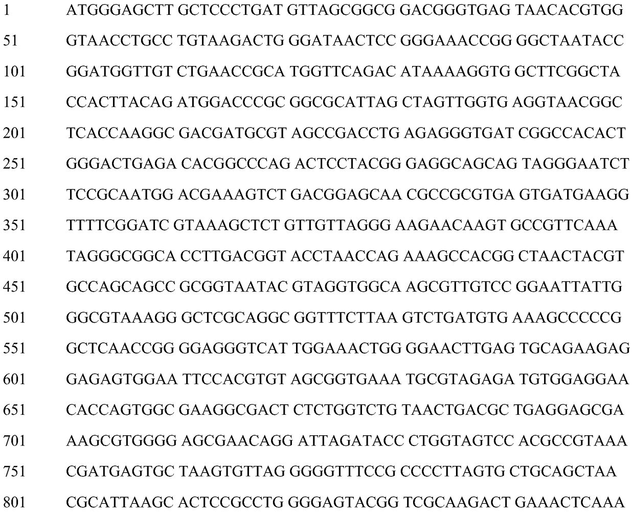 Bacillus n311 from Antarctica and its application in controlling plant pathogenic fungi