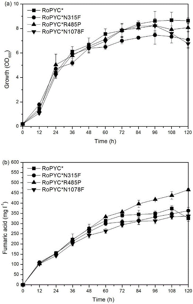 Method for improving yield of fumaric acid