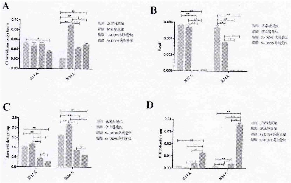 Selenium-enriched probiotics for affecting mouse diarrhea and intestinal canal florae caused by irinotecan