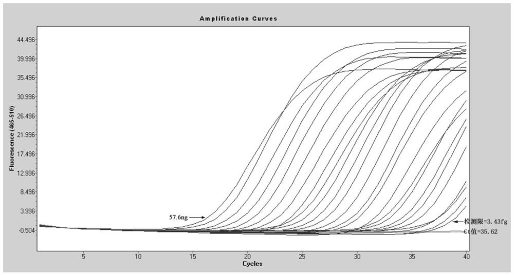 Primer pair for detecting Brucella S2 vaccine strain, application thereof, and reagent kit