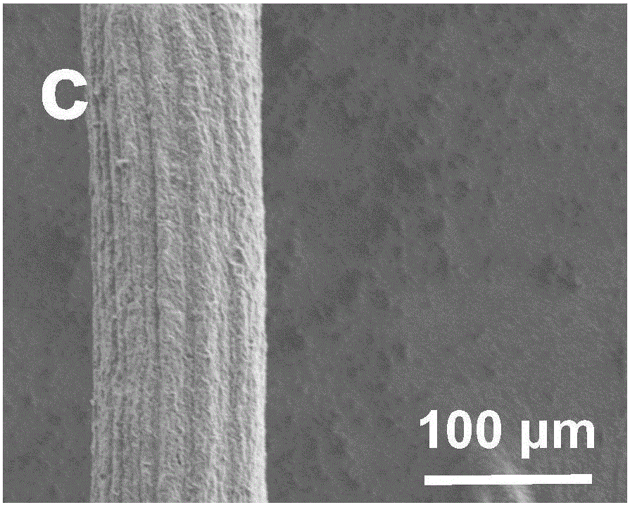 Graphene micron fibers and preparation method thereof, nerve tissue scaffold, and repair system