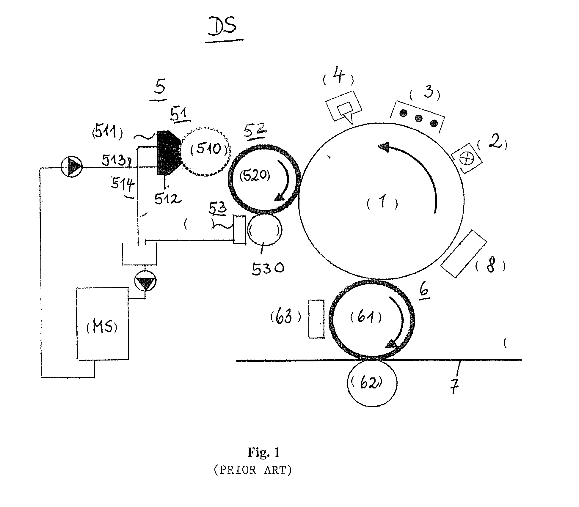 Device and method to develop potential images generated on an intermediate image carrier in an electrographic printing or copying device