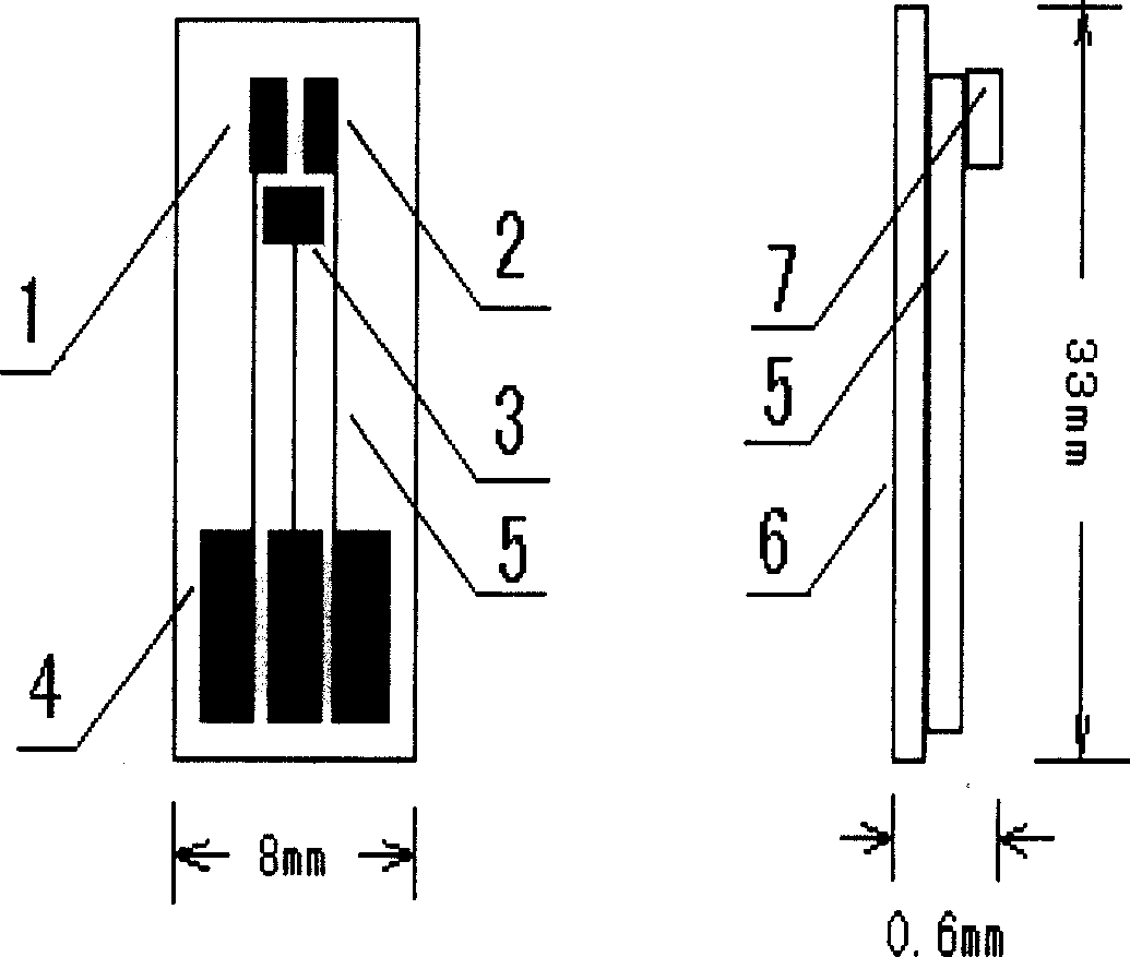 Process for making nano-modification minisize electrochemical biosensor for pesticide detection