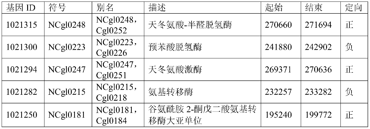 Promoters from corynebacterium glutamicum and uses thereof in regulating ancillary gene expression