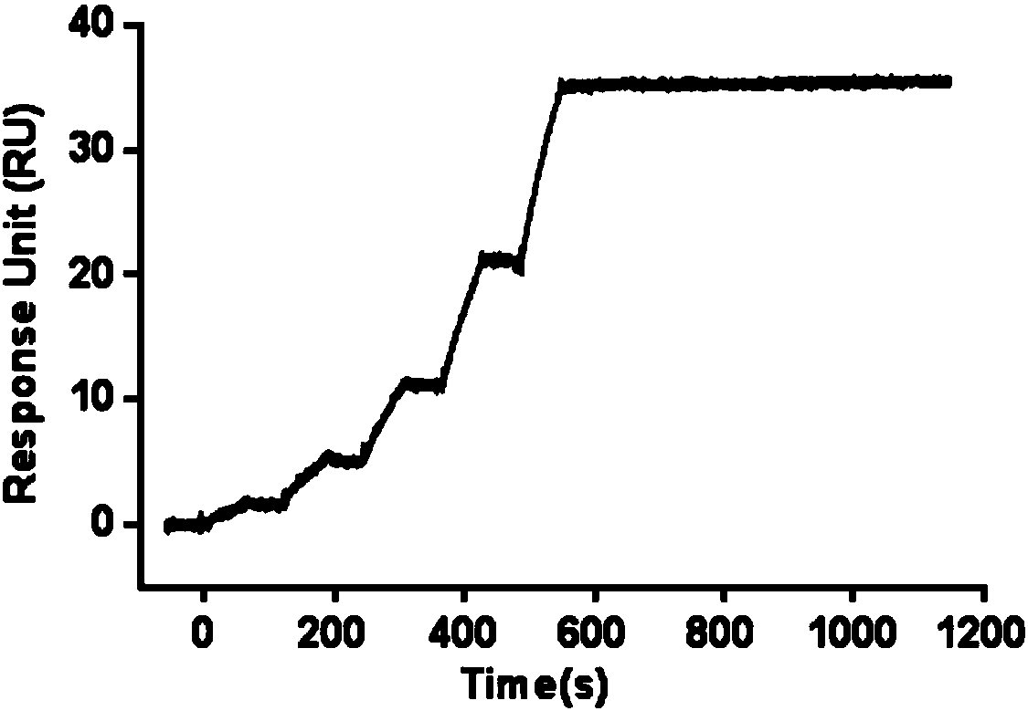 High-affinity human monoclonal antibody against yellow fever virus and application thereof