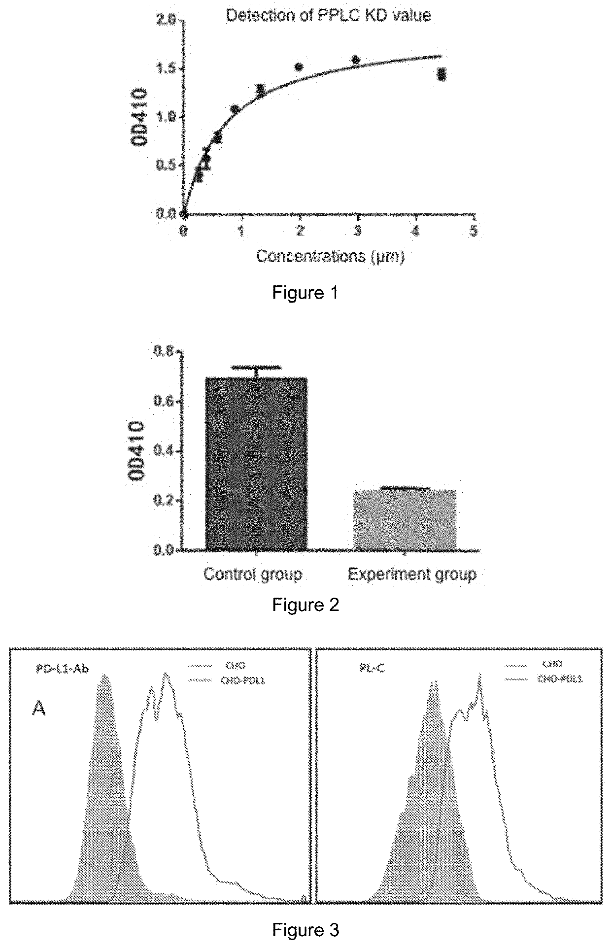 Peptide having high affinity for pd-l1 protein and use thereof