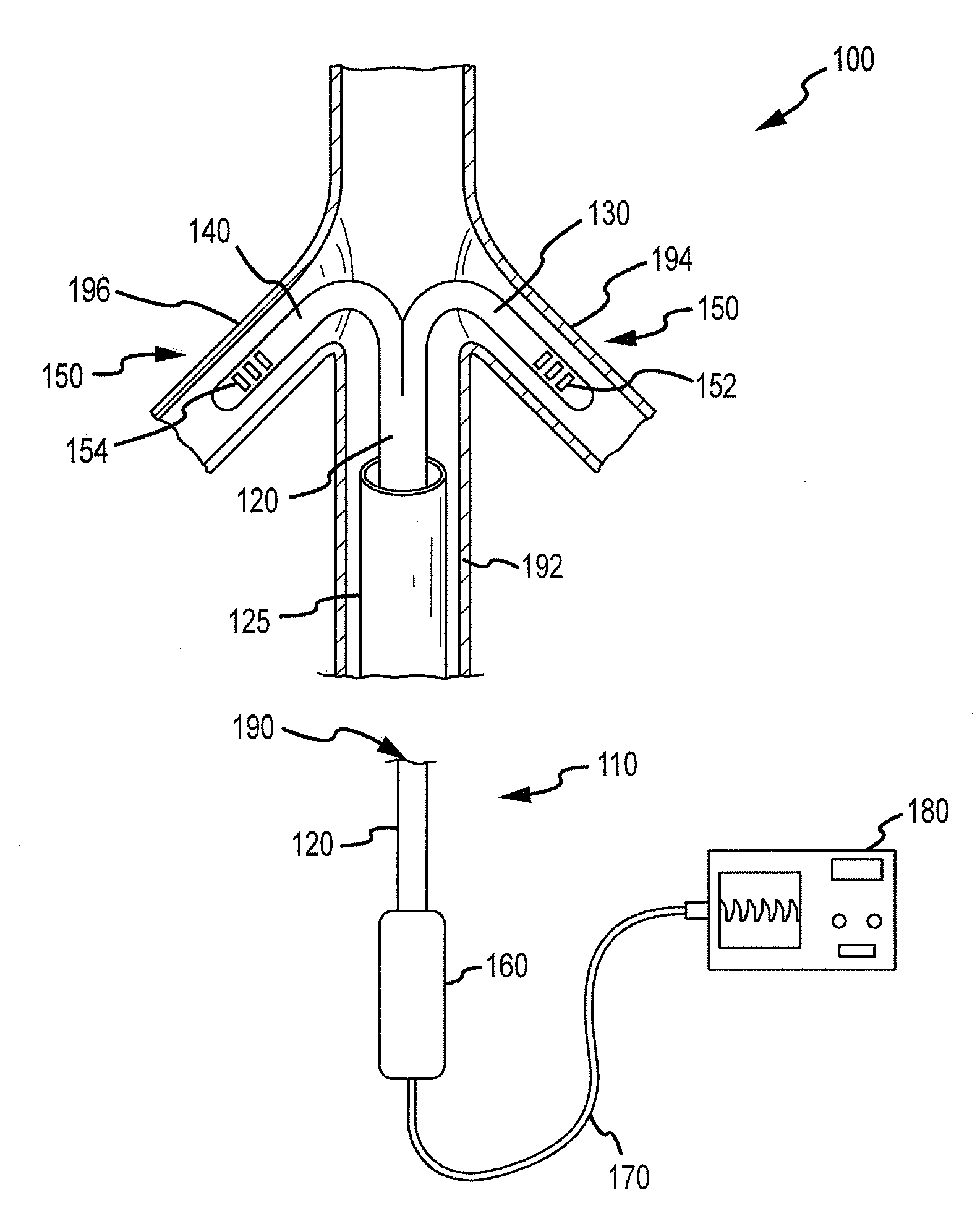 Renal assessment systems and methods