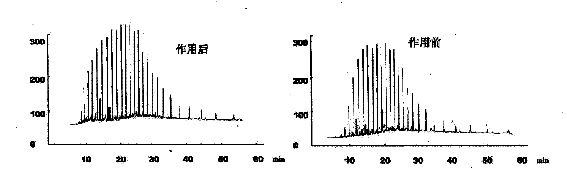 Potsdam Bacillus brevis and use thereof