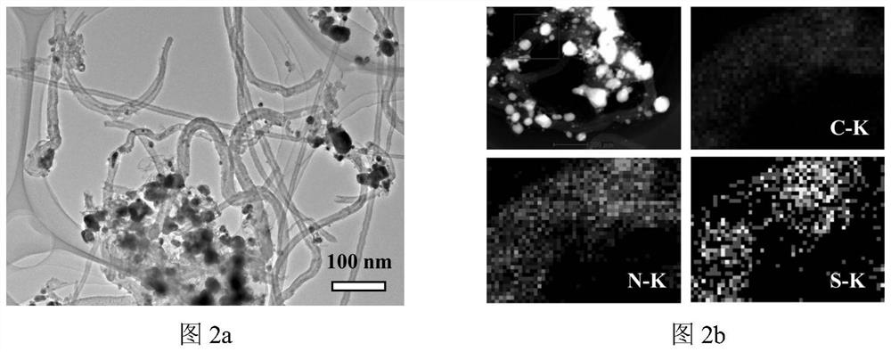 Lithium-sulfur battery positive electrode material containing three-dimensional interpenetrating composite carbon material, preparation method, positive electrode sheet containing same, and lithium-sulfur battery