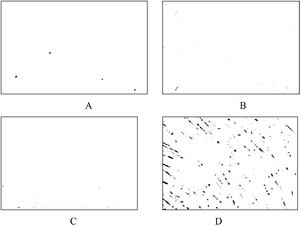 Method for differentiating synovium mesenchymal stem cells (SMSCs) to chondrocytes through in-vitro adenovirus mediated BMP-2/7 gene coexpression induction