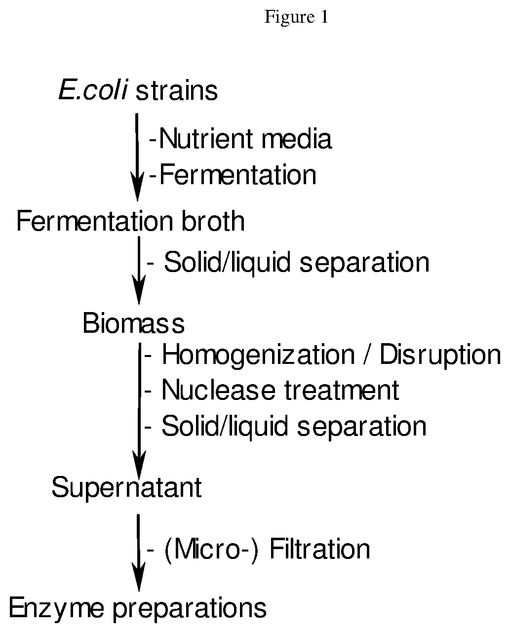 Enzyme products