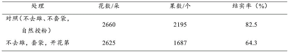 Method for hybridizing and breeding water dropwort