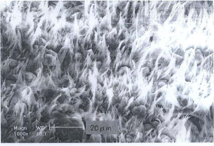 Flame-retardant shaping phase-change material and preparation method thereof