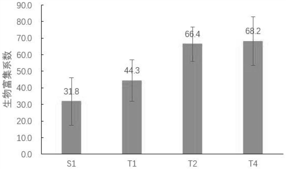 A kind of microbe-enhanced selenium-enriched vegetable hydroponic method and its application