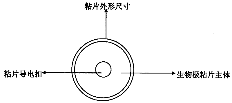 Biological conductive bonding die