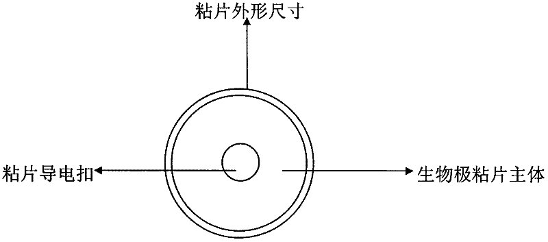 Biological conductive bonding die