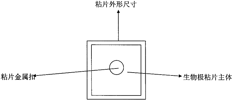 Biological conductive bonding die