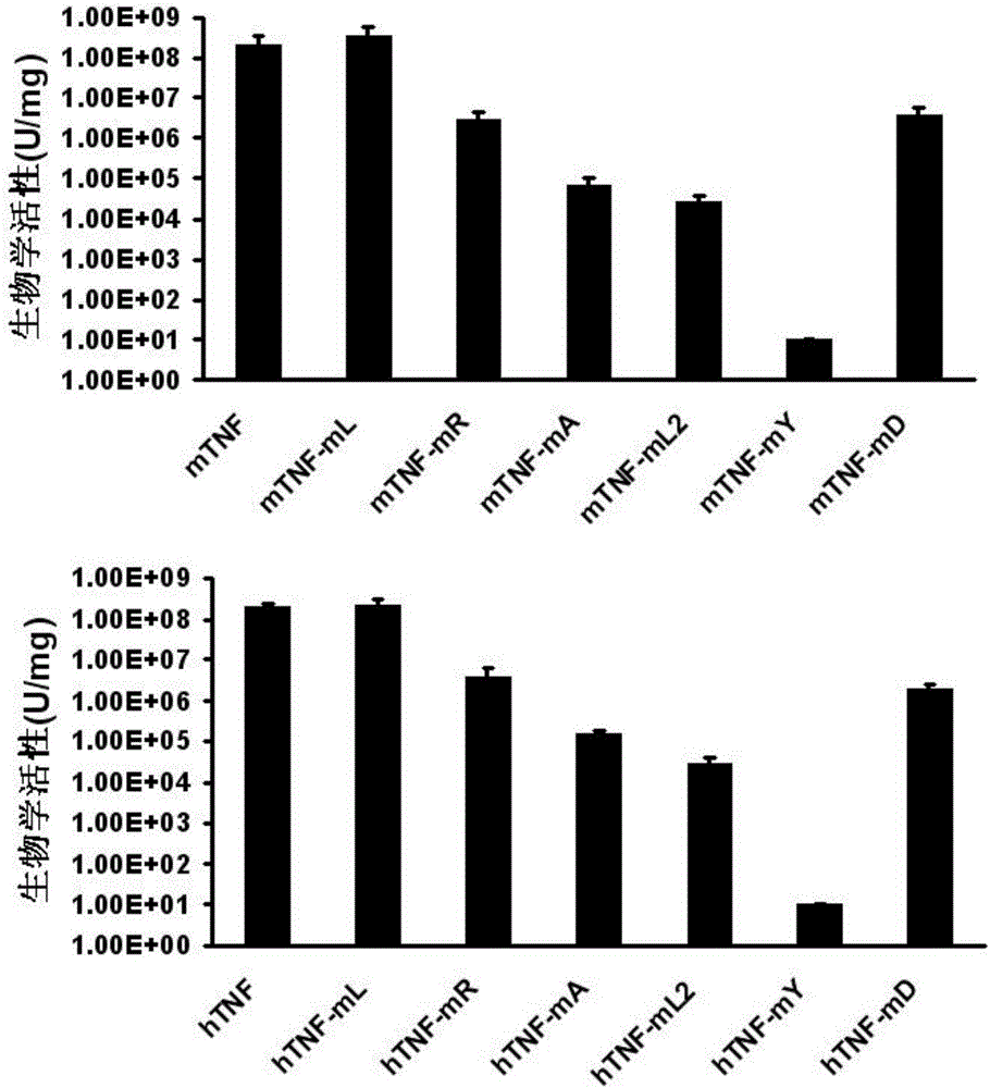 Protein vaccine aiming at tumor necrosis factor alpha and applications of protein vaccine