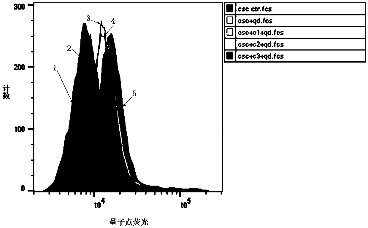 Polypeptide capable of specifically targeting triple-negative breast cancer stem cells and application thereof