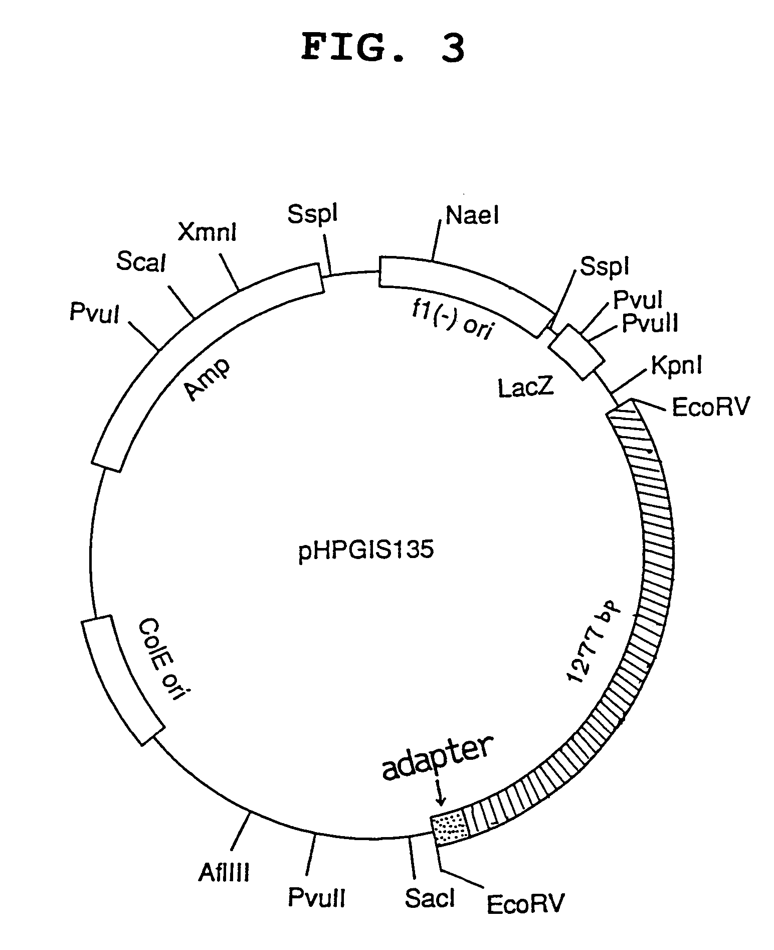 Antibodies specific to human prostacyclin synthase