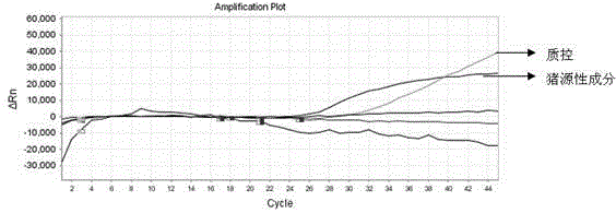 Primer and probe composition for distinguishing various animal sources in colla corii asini, kit and multiple real-time fluorescence quantification PCR detection method