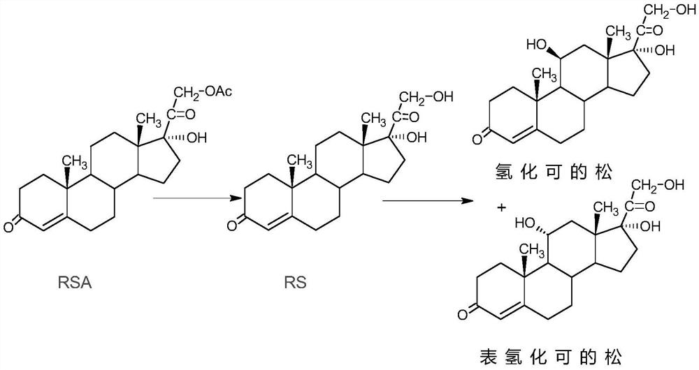 Method for preparing hydrocortisone by resting cell multi-round fermentation