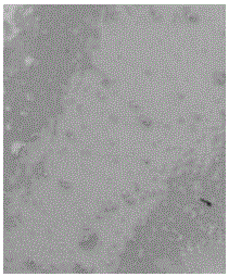 High-strength oil-resistant storage battery case material and preparation method thereof