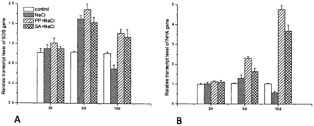 Plant salt resisting conditioning agent and preparation method thereof