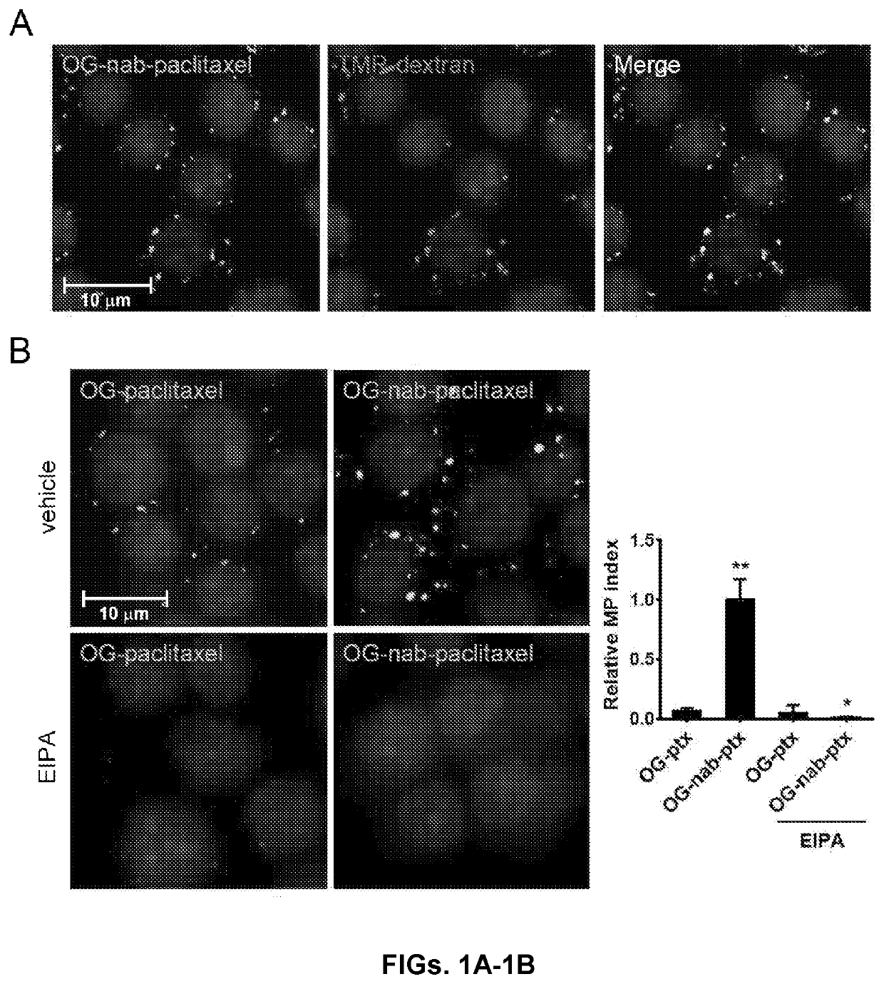 Methods and reagents for modulating macrophage phenotype