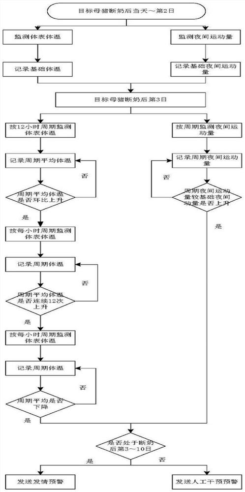 Sow oestrus management method