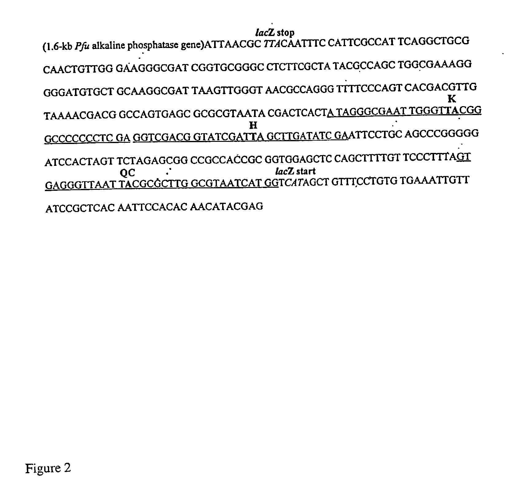 Multi-site mutagenesis