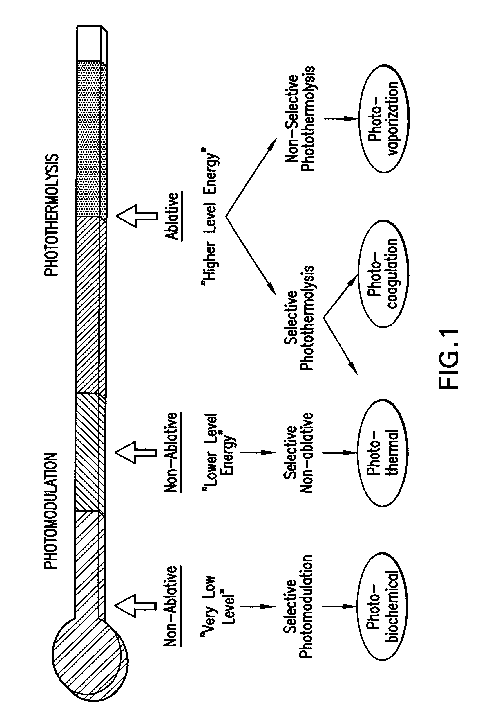 Photomodulation methods and devices for regulating cell proliferation and gene expression