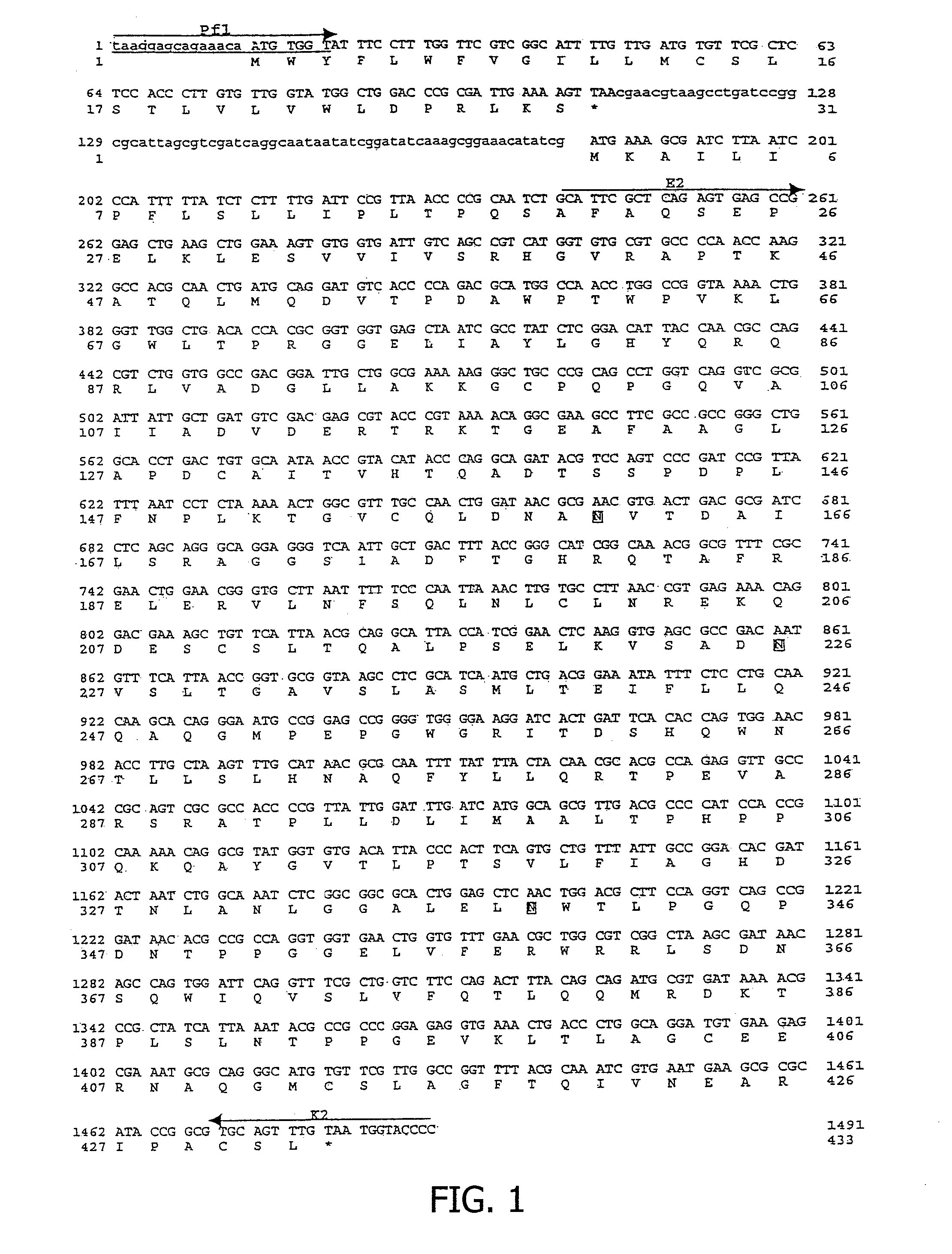 Phytase-containing animal food and method