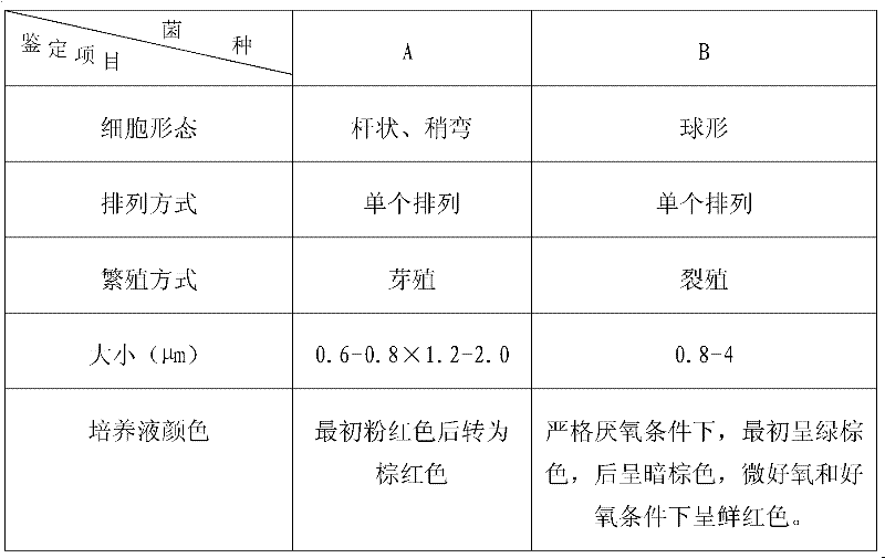 Method for treatment and in-situ ecological restoration of black and stink riverway by using microorganism