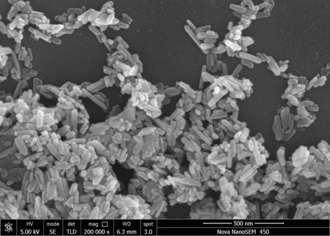 Silver phosphate-hydroxyapatite-graphite phase carbon nitride composite photocatalyst as well as preparation method and application thereof