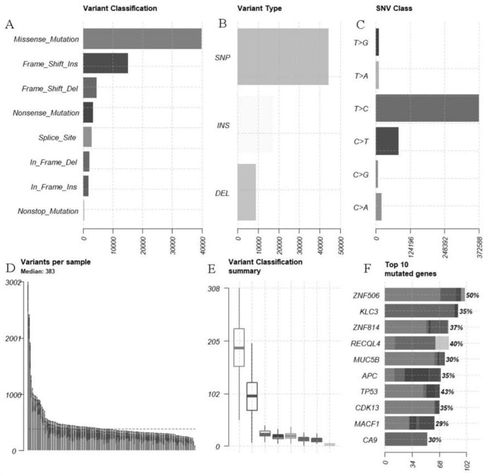 Gene markers for prognosis evaluation of colorectal cancer