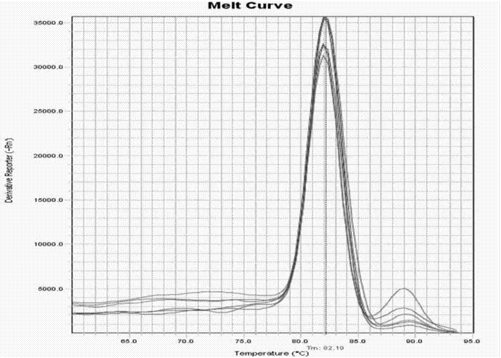 Method for detection of Italian bee immunogene defensin-1 expression by fluorescence RT-PCR technology