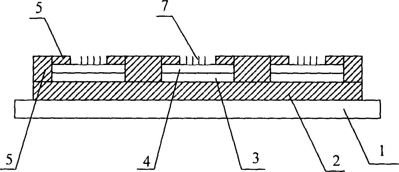 Panel display having integrated back grid structure and its manufacturing technology