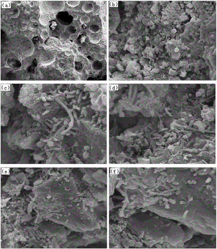 Biological trickling filter treatment system and treatment method of domestic wastewater